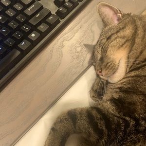 Bookmark to know when I go live 🤠🙌🌷